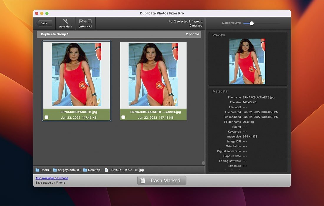 Duplicate Photos Fixer Pro screenshot 2